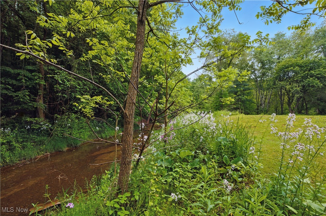 1913 Steele Road, Bellville, Ohio image 43