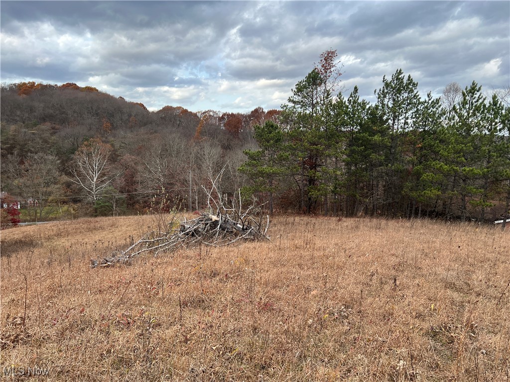 County Road 36, Bloomingdale, Ohio image 3