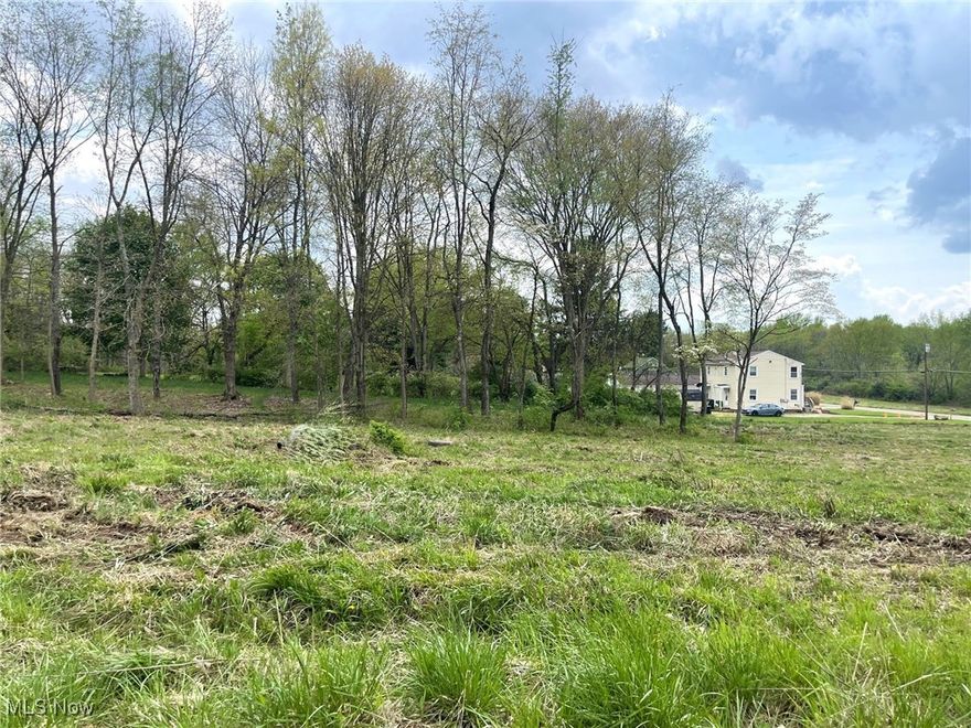 This buildable .31 acre partially wooded lot is on a dead end street and is located in the Perry Local School District. Lot is level and has 80' of frontage and is 170' deep. Public water and public sewer. Directions: Erie St. to east on Forest Ave. SE.