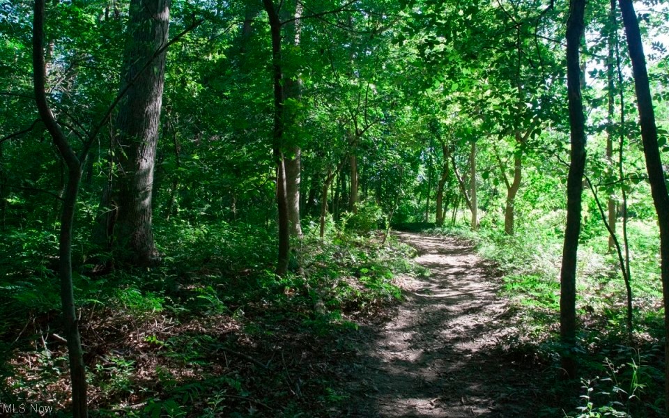 Oak Knolls Condo - Residential