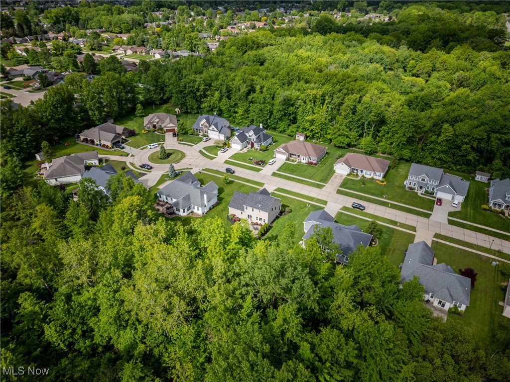 8543 Mulberry Chase, North Ridgeville, Ohio image 43