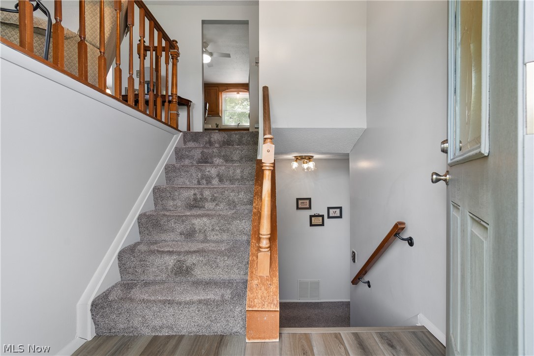 4506 Honeysuckle Drive