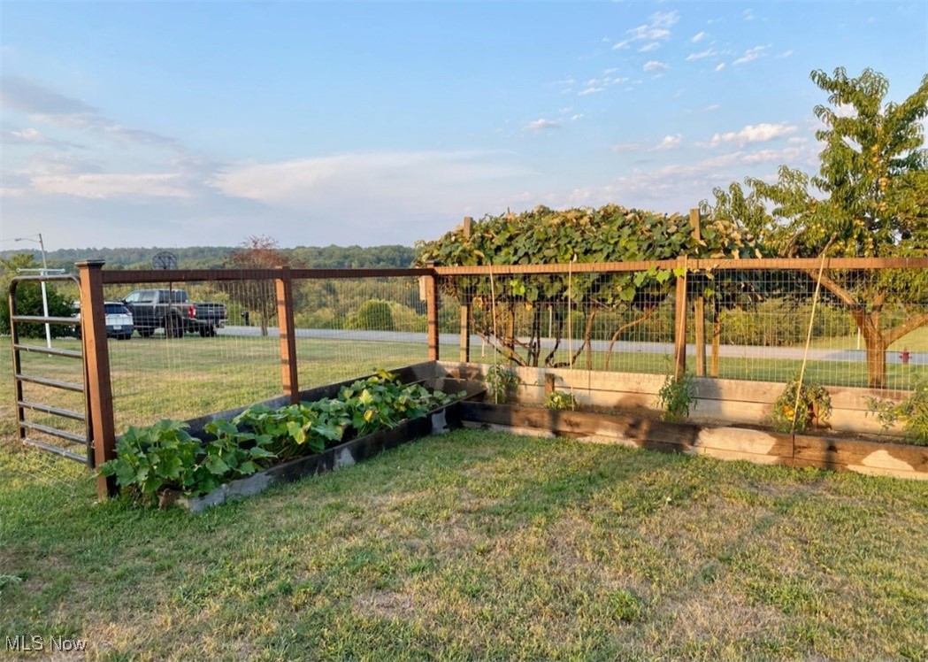 123 Broadview Drive, Cadiz, Ohio image 41