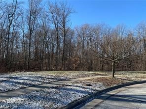 Fox Ridge Sub Ph 1 - Land