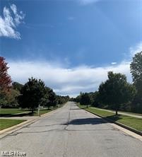 Fox Ridge Sub Ph 1 - Land