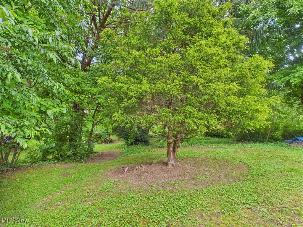 326 Highway 7 Highway, Powhatan Point, Ohio image 25