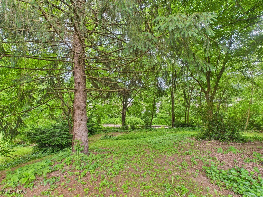326 Highway 7 Highway, Powhatan Point, Ohio image 28