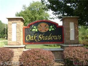 Oak Shadows - Land