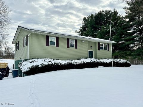 Photo of 135 S Moose Eye Road, Norwich, OH 43767 (MLS # 5177037)