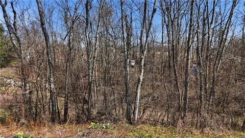 Vacant Land For Sale - 14489 Clay Pike<br/> Senecaville, OH 43780
