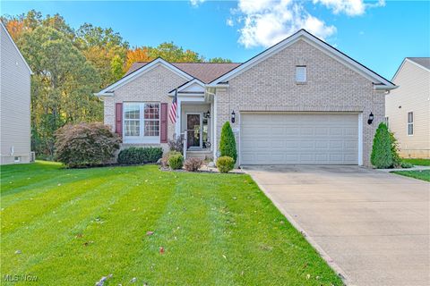 5446 Royal Brook Drive Medina OH 44256
