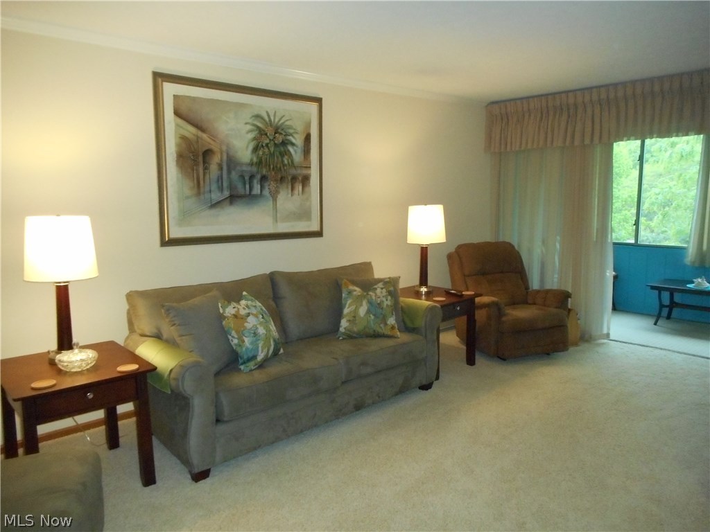 Silver Lake Towers Condo - Residential