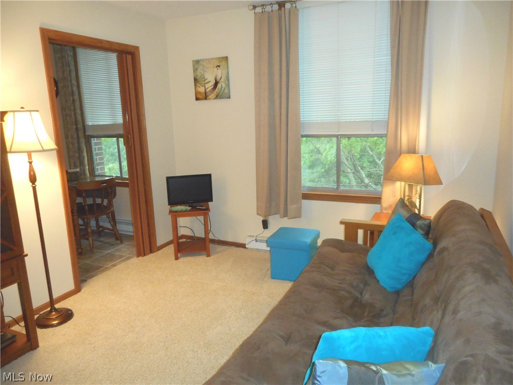Silver Lake Towers Condo - Residential