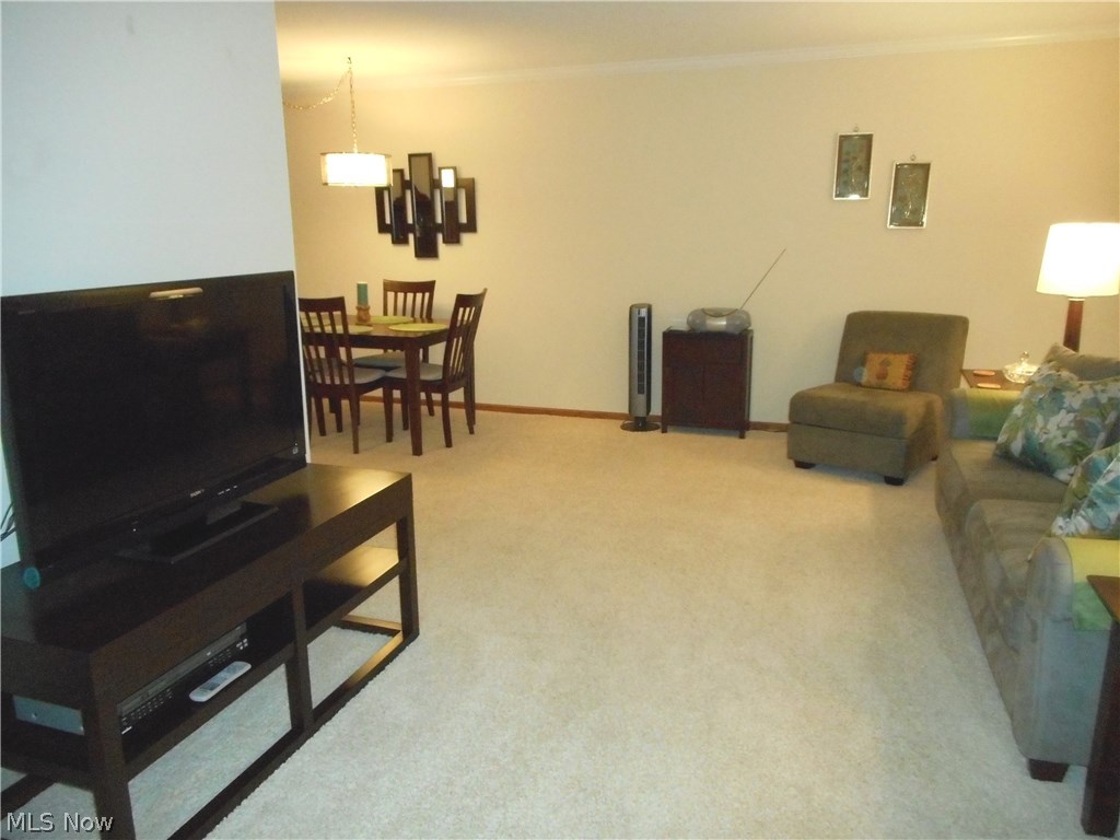 Silver Lake Towers Condo - Residential