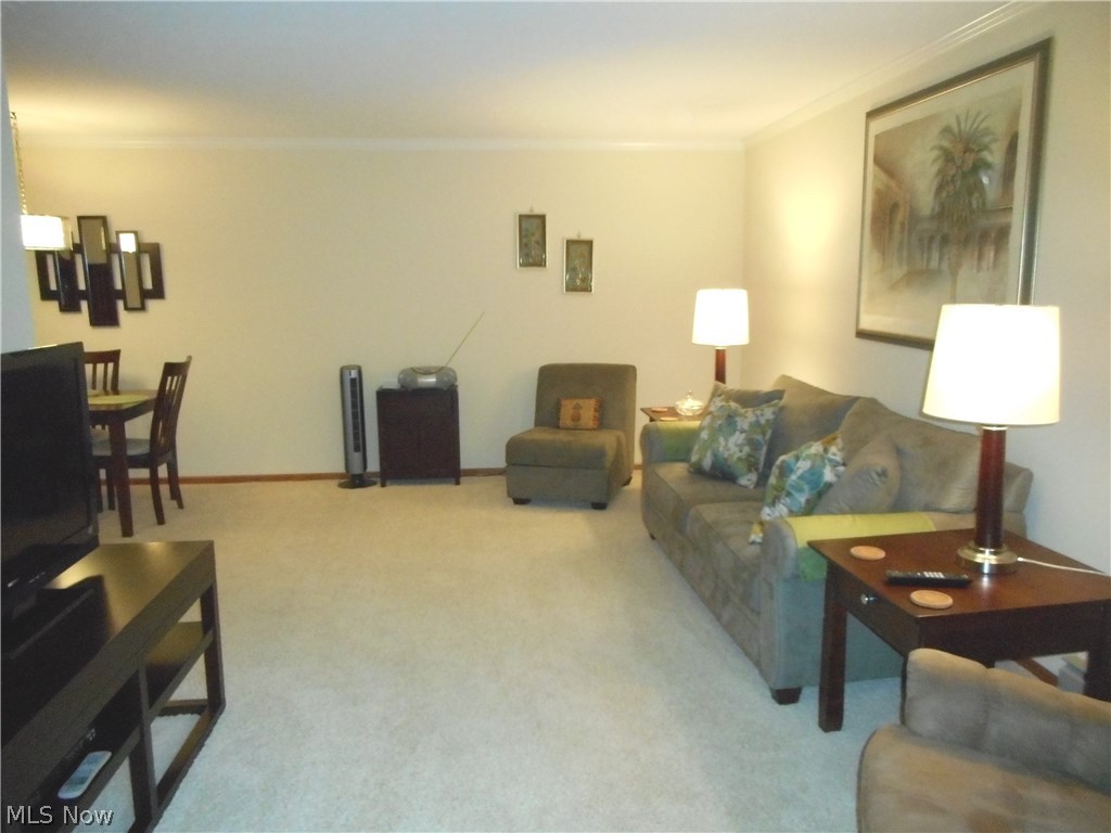 Silver Lake Towers Condo - Residential
