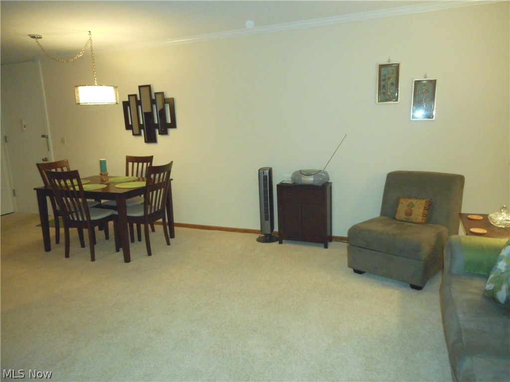 Silver Lake Towers Condo - Residential