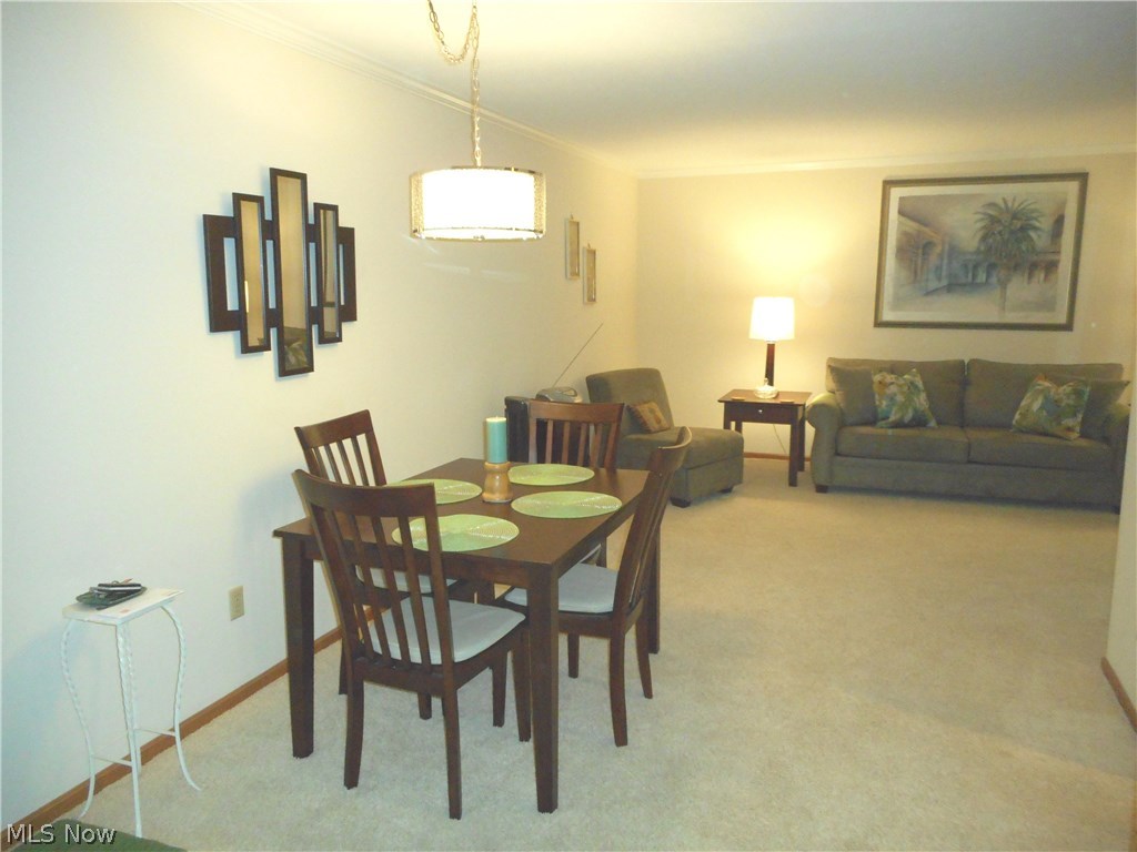 Silver Lake Towers Condo - Residential