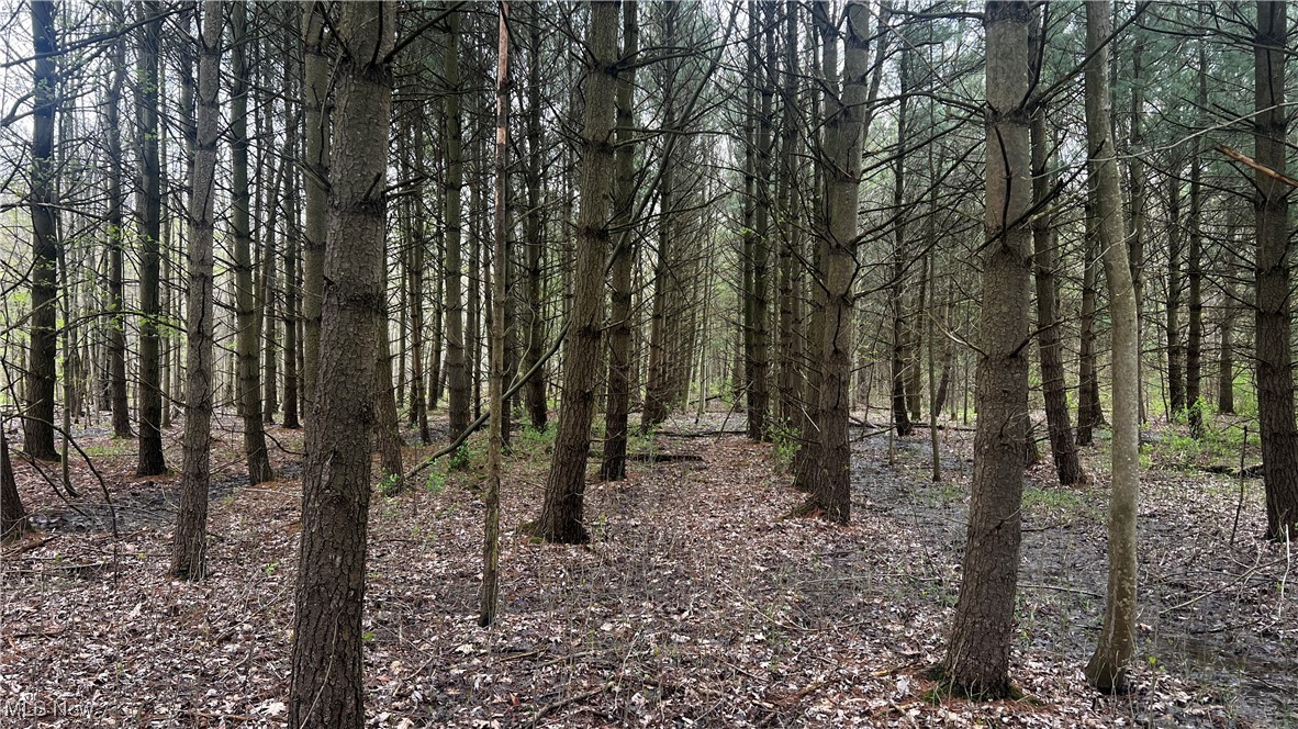 Netcher Road, Jefferson, Ohio image 3