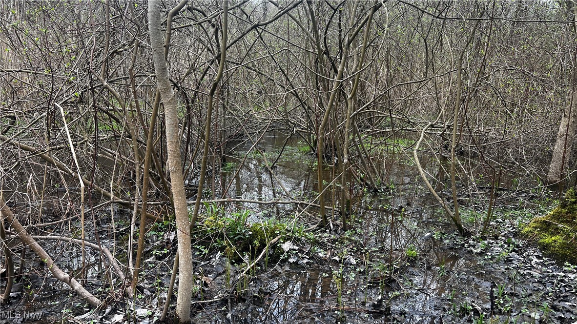 Netcher Road, Jefferson, Ohio image 13