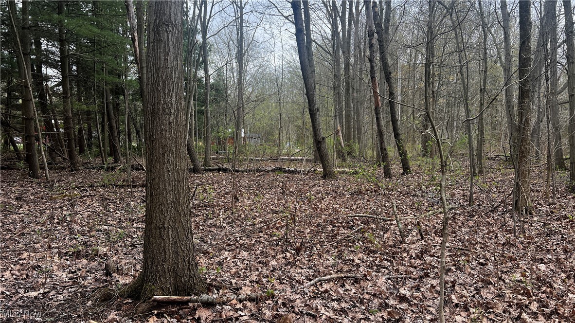 Netcher Road, Jefferson, Ohio image 14