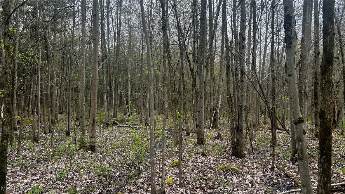 Netcher Road, Jefferson, Ohio image 10