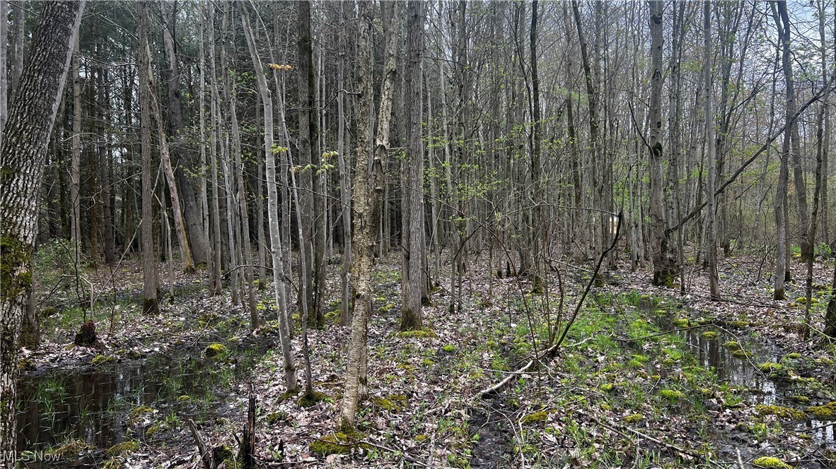 Netcher Road, Jefferson, Ohio image 11