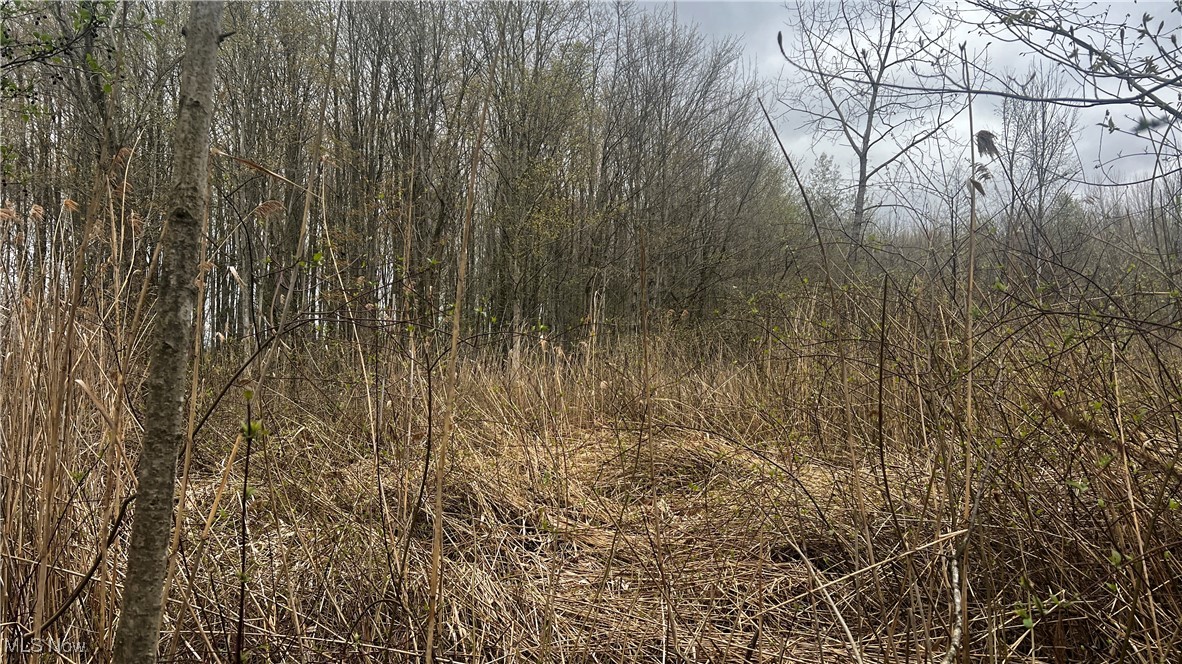 Netcher Road, Jefferson, Ohio image 8