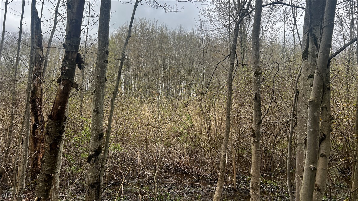 Netcher Road, Jefferson, Ohio image 12