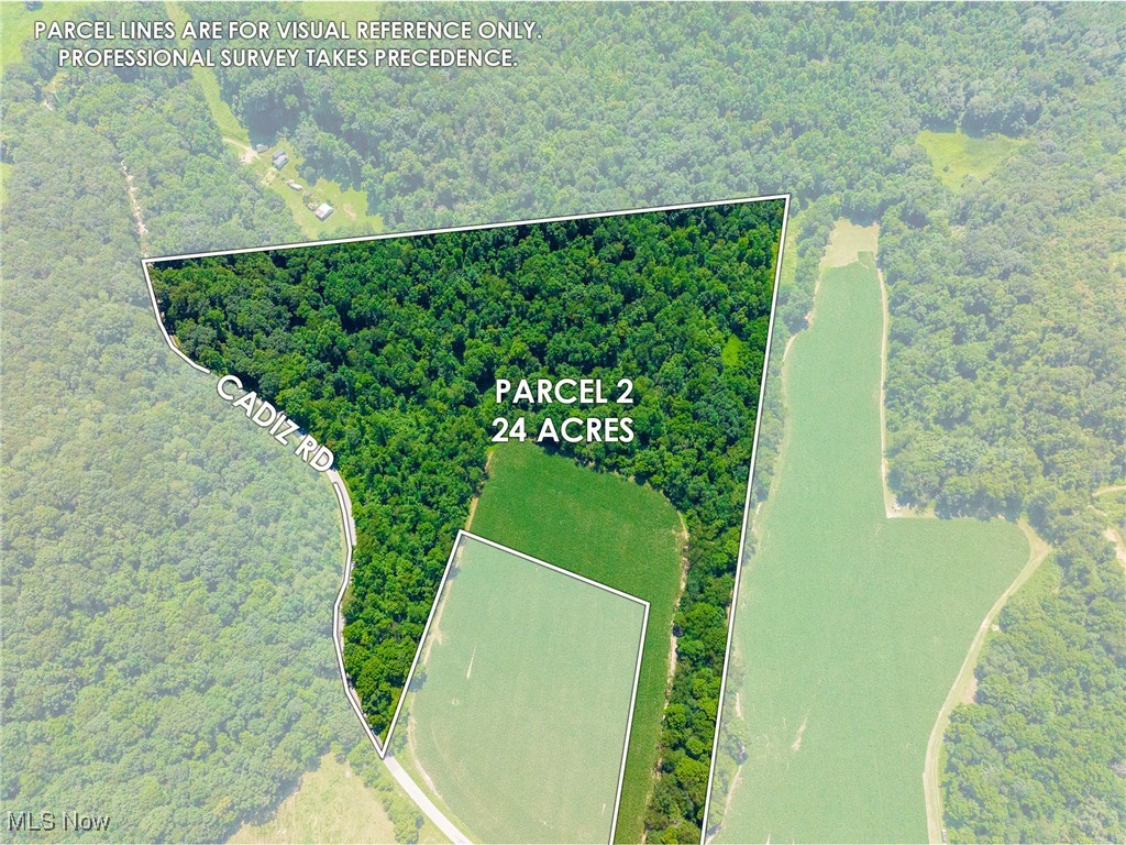 On-site auction Wednesday, September 10th at 6:00 PM. 24 Acres with 1,450’ frontage on TR 257, This parcel has some very nice areas that would set up well for hunting. There is an existing blind that goes with the property. Great access to hunt where you can walk in along a creek and be completely hidden from the deer and slip into your blind. A deer feeder completes this package.