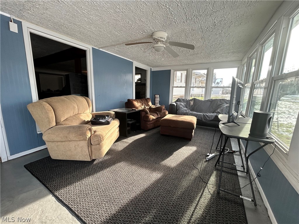 North Hill Allotment - Residential