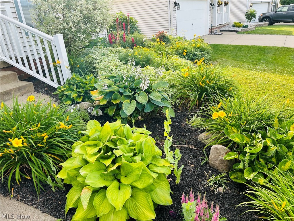 Villages/Coventry Xing Ph 06 - Residential