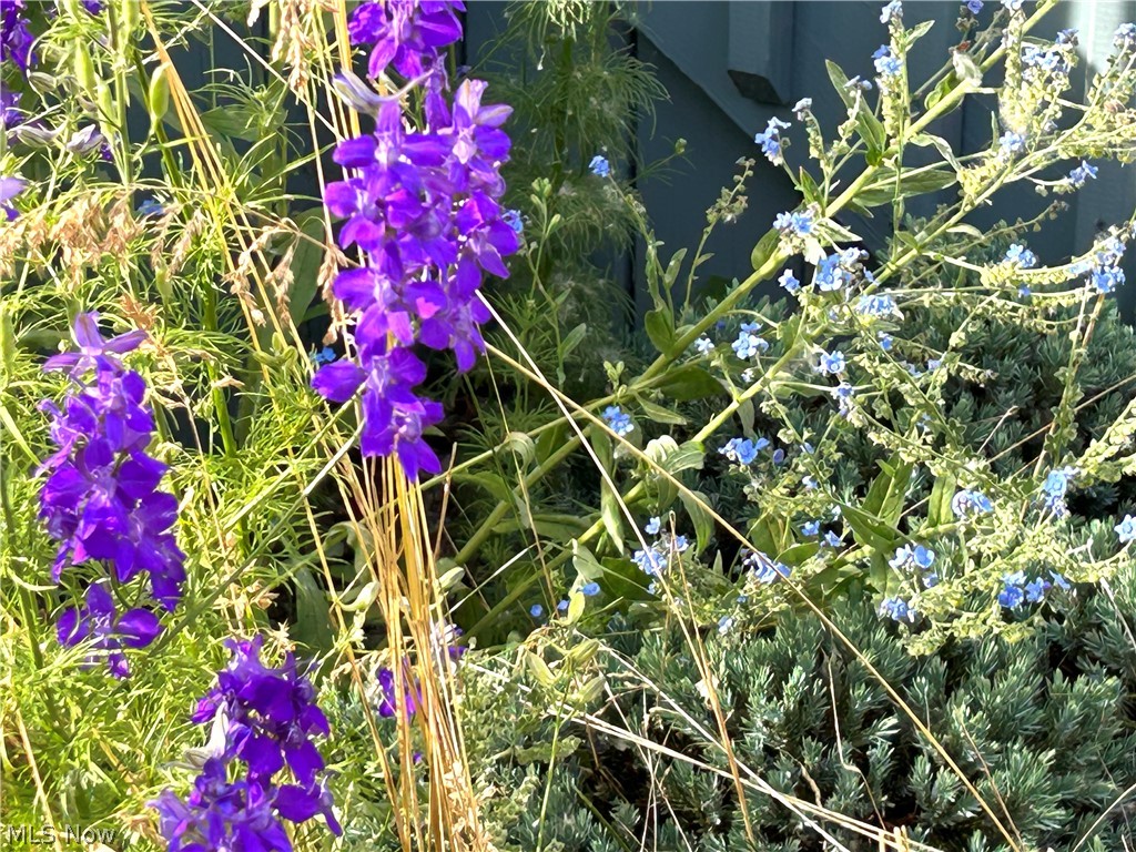 Villages/Coventry Xing Ph 06 - Residential