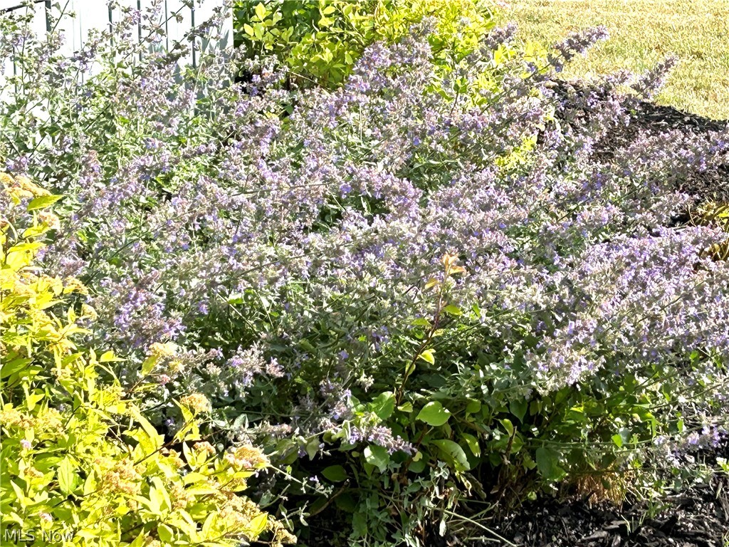 Villages/Coventry Xing Ph 06 - Residential