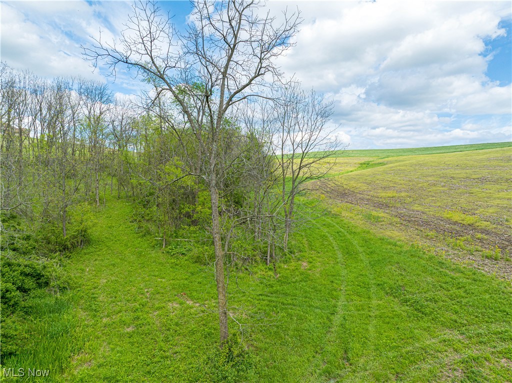 Oh-93, Fresno, Ohio image 16