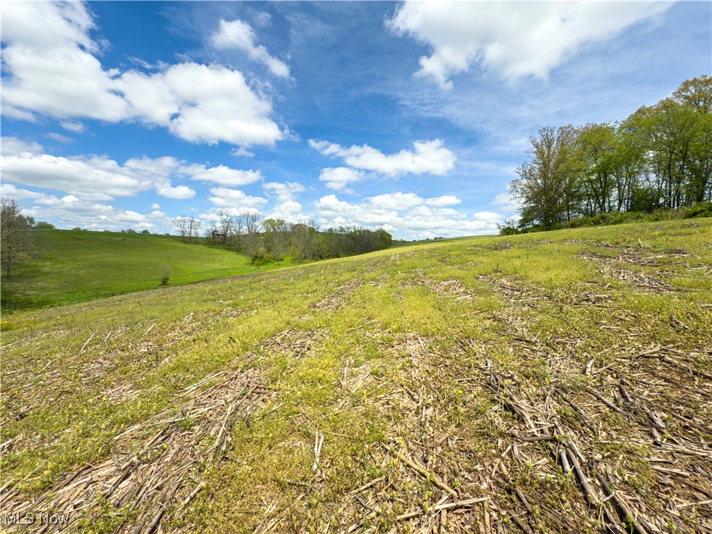 Oh-93, Fresno, Ohio image 30