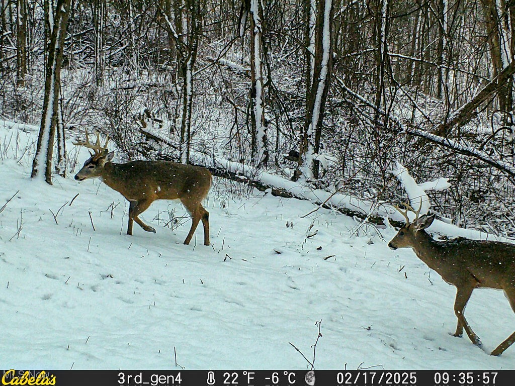 Oh-93, Fresno, Ohio image 5