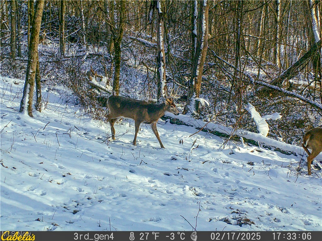 Oh-93, Fresno, Ohio image 41