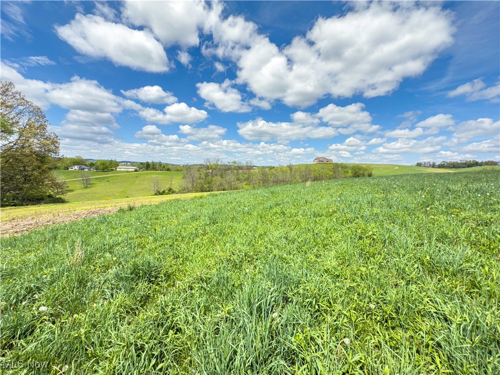 Oh-93, Fresno, Ohio image 32