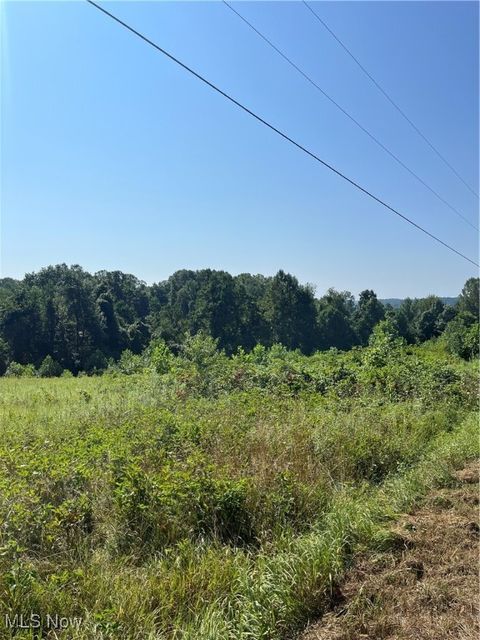 Vacant Land For Sale - Timber Road<br/> Bergholz, OH 43908