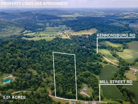 Vacant Land For Sale - Mill St Road<br/> Salesville, OH 43778