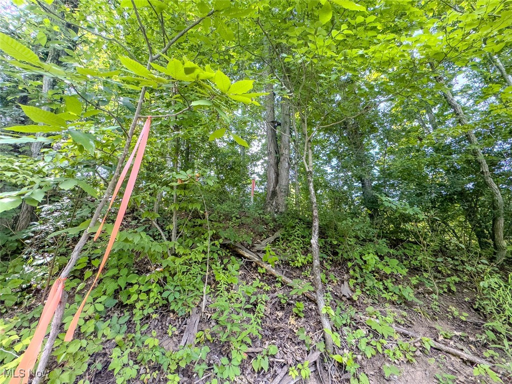 0 Mill St Road