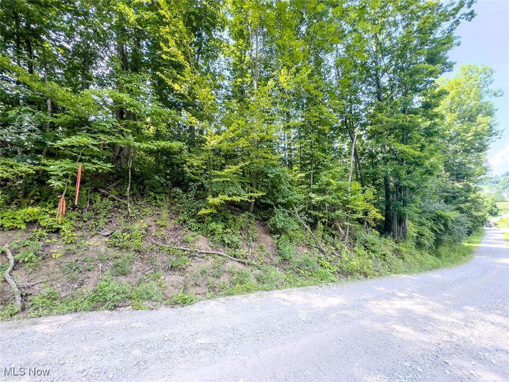 0 Mill St Road