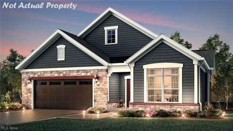 6534 Buckeye Lane Medina OH 44256