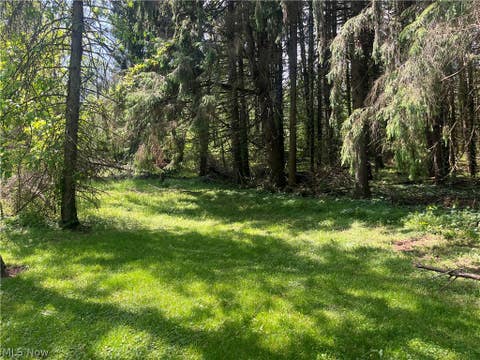 Vacant Land For Sale - High Mill Avenue<br/> Stark County, Clinton, OH 44216