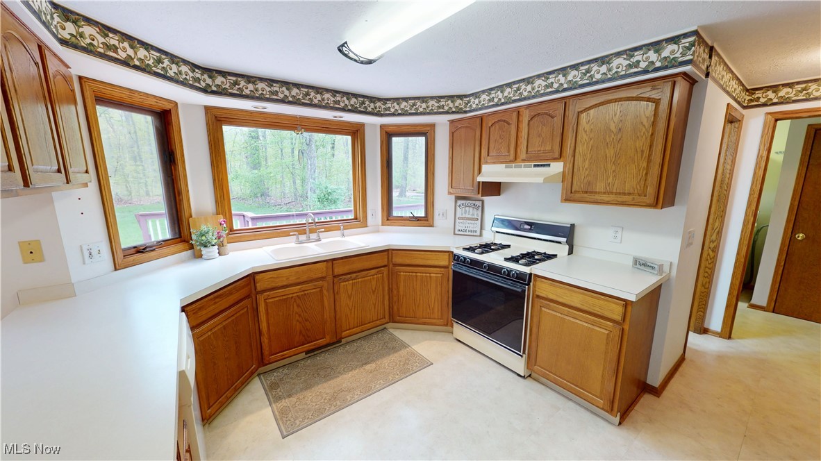 5362 Park Vista Court, Stow, Ohio image 3