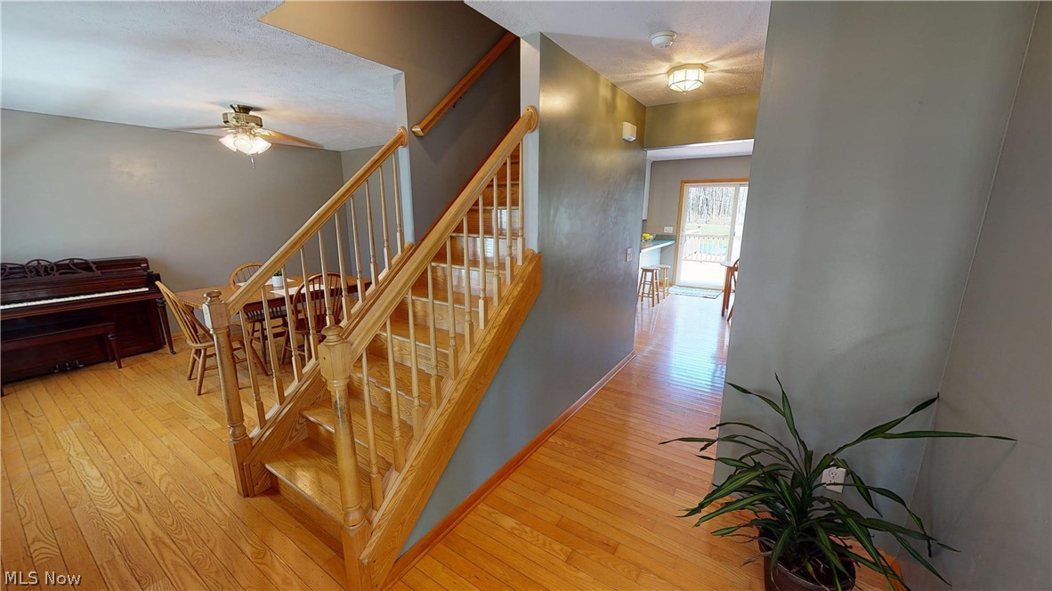 Auburn - Residential