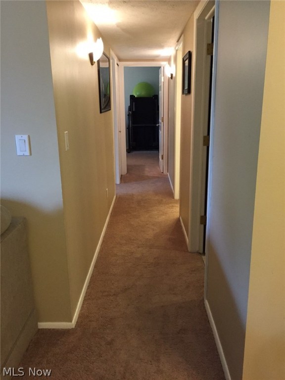 Pine Forest Condo - Residential