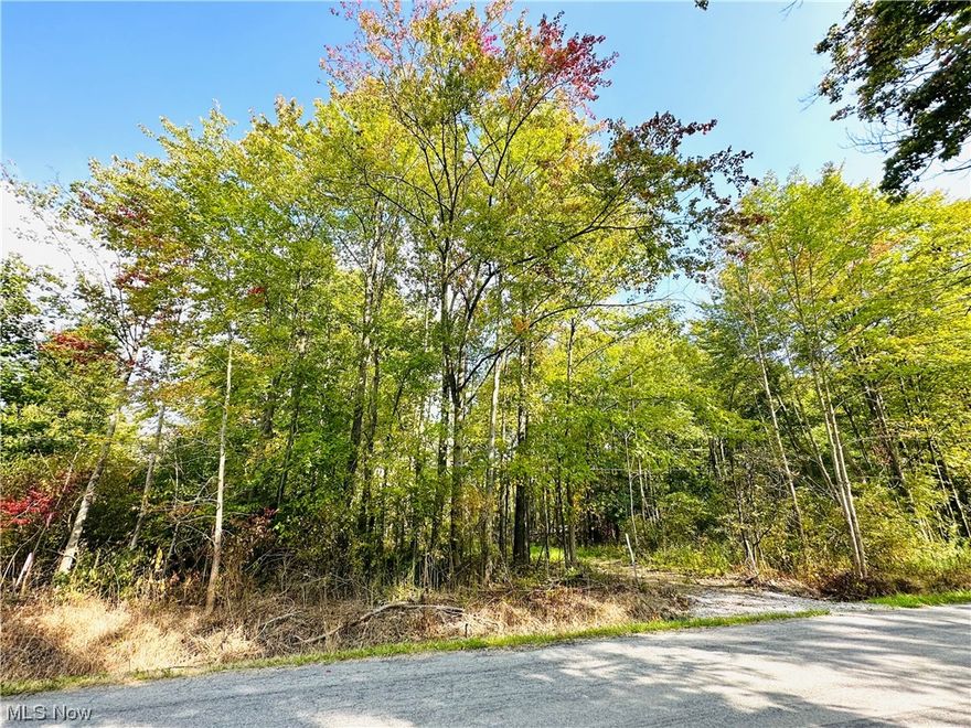 Come see this 5 acres of country Heaven that is waiting for you to build your dream home or keep it as a small camping retreat for you and your family! Sellers have cleared off over 350 feet of driveway, doing all of the heavy work so that you simply can move forward with your plans! A new culvert has also been installed w/a large gravel entrance area. There has also been gravel laid in the rear of the property that the camper used to sit on. Sellers have built a new animal pen that will stay with the property! Loads of Whitetail deer, turkey, raccoon, fox, etc. if you love the quietness of country living you better book your walk around this property today! This property is perfect if you would like to homestead and be self sustaining! Preliminary septic inspection has already been done by Trumbull County and is available upon request. Lots of legwork has already been done for this property and is ready for a new owner. The gas well road on the left side of the property is on the neig
