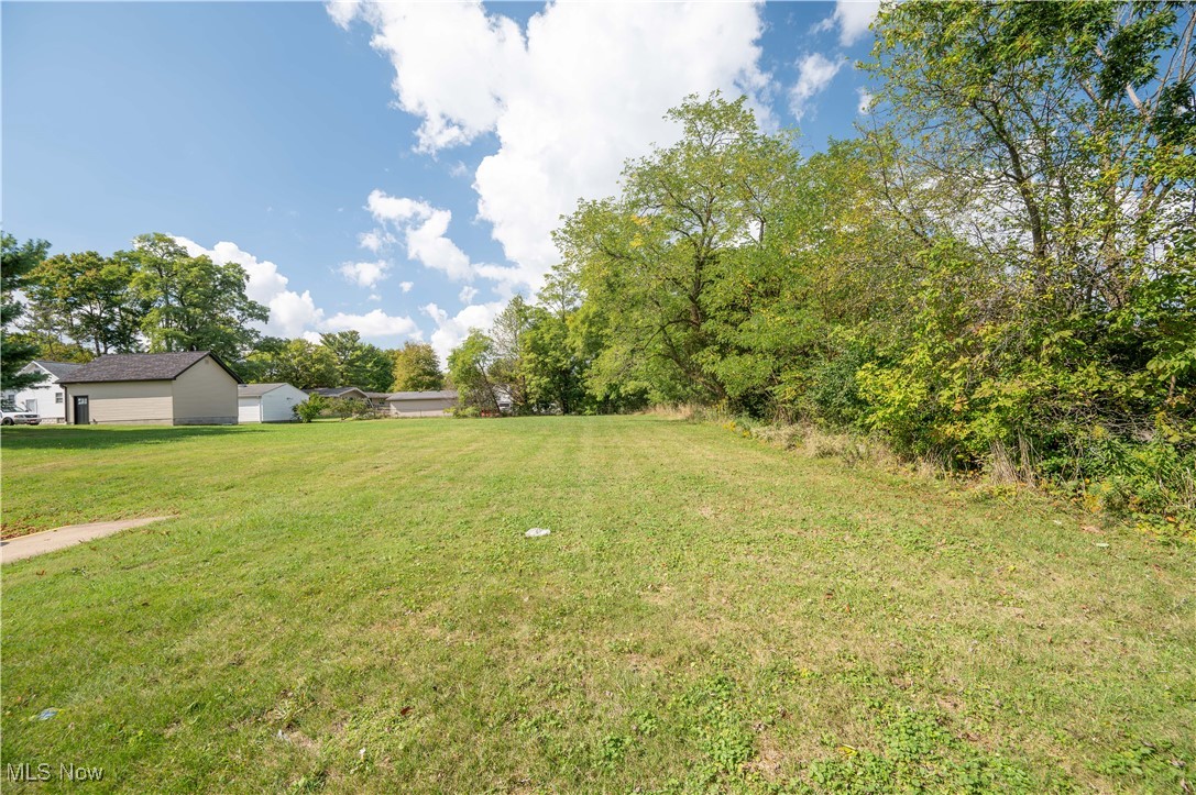 Village/Mineral Rdg - Commercial Sale