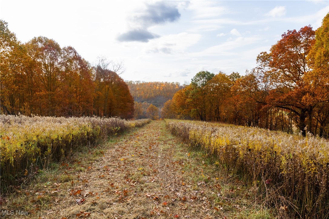 5885 Post Boy Drive, Newcomerstown, Ohio image 11